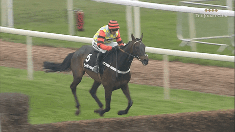 Horse Racing Jump Gif By The Jockey Club Find Share On Giphy