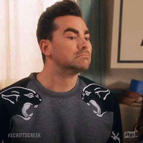 Schitt's Creek gif. Dan Levy as David Rose wears a black and gray sweater. He looks down and frowns smugly. He glances up and forces a smile. Text appears, "Wow."