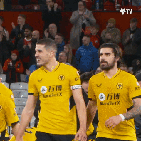 Get In Premier League GIF by Wolves
