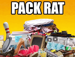 Pack Rat Cryptocurrency GIF by MultiversX