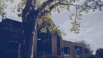 200.gif?cid=fc005b08b6698383e8d44d2ab0ee9eada32ae0728a5c2869&rid=200.gif&ct=g