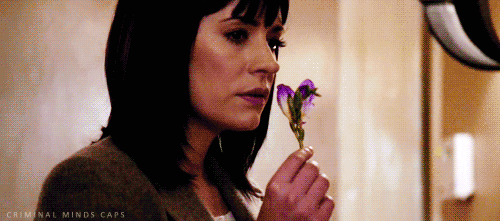 paget brewster