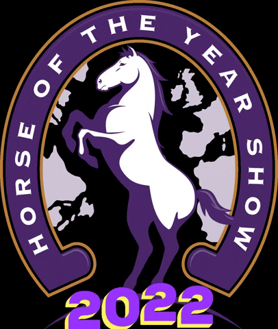 hoys_official horse horses equestrian horseshow GIF