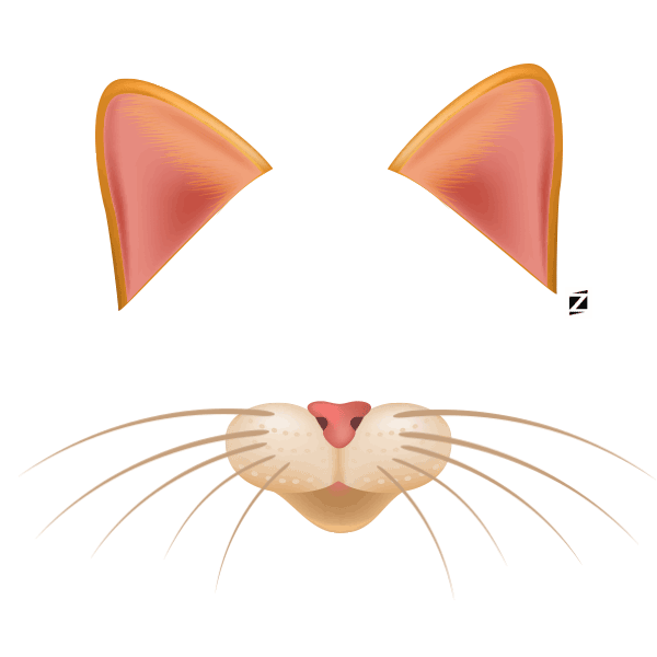 Cat Shoes Sticker by STZ for iOS & Android GIPHY