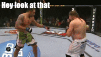 mixed martial arts