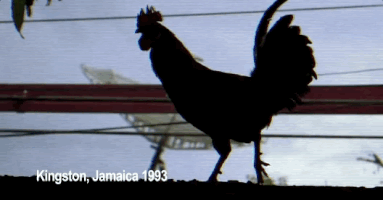 Watch Out For This GIF by MAJOR LAZER