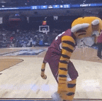 College Basketball GIF by NCAA March Madness