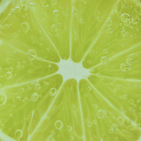 Protein Soda GIF by Premier Protein