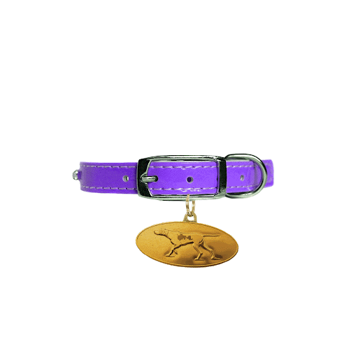 Dog Show Fun Sticker by Westminster Kennel Club for iOS & Android GIPHY