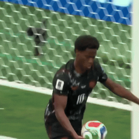 Fifa World Cup Football GIF