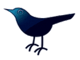 Deep Blue Sticker