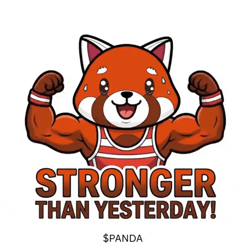Winning Red Panda GIF by PandaMania
