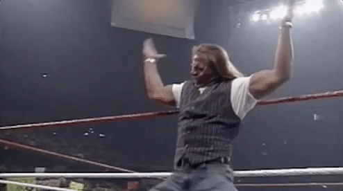 Shawn Michaels Suck It GIF by WWE - Find & Share on GIPHY
