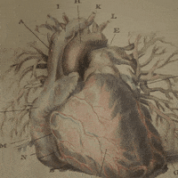 the heart GIF by Percolate Galactic