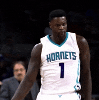 Hugo-the-hornet GIFs - Get the best GIF on GIPHY