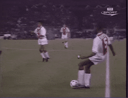 dariovismara  GIF