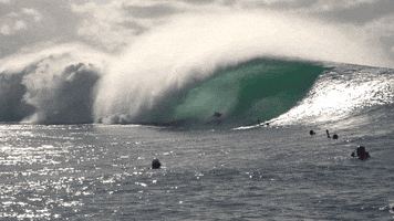 like a boss wave GIF by Red Bull