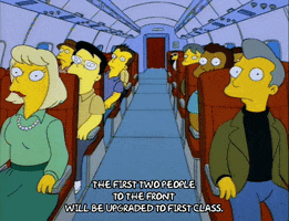 the simpsons airplane GIF
