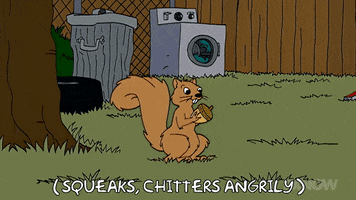 Episode 1 Squirrel GIF by The Simpsons