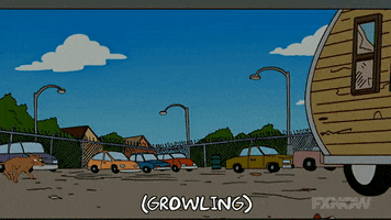 200.gif?cid=fc005b08dc42944b23cd27ccafb1caf0bec9e15b8b20b782&rid=200.gif&ct=g
