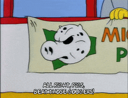 200.gif?cid=fc005b086504cb64993b8bf08898ffeedb0a19edc9a82eab&rid=200.gif&ct=g