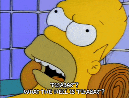 homer simpson what GIF