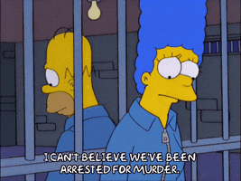 200.gif?cid=fc005b088d6777be8054504bcdd2cb12a8a15befb444d13b&ep=v1_gifs_random&rid=200.gif&ct=g