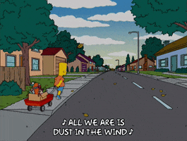 dust in the wind street GIF
