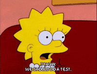 Test GIFs - Get the best GIF on GIPHY