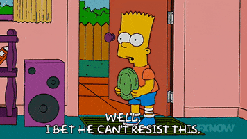 200.gif?cid=fc005b08be734c8d2c604ff4d18177299bb24fcd21c245af&rid=200.gif&ct=g