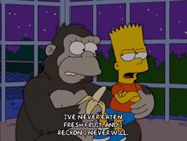 200.gif?cid=fc005b08433642260985d1bf25c6bdacd32fe8233987fc78&rid=200.gif&ct=g