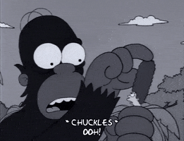 200.gif?cid=fc005b082c29f0f6748c06c265274b2572fef4c173377c0e&rid=200.gif&ct=g