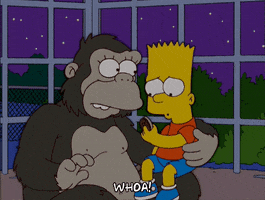 200.gif?cid=fc005b088ec7975745ab23f963dce09745b8d6e12546e659&rid=200.gif&ct=g