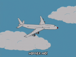 episode 18 airplane GIF
