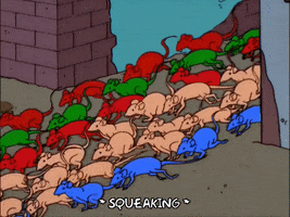 episode 15 rats running out of a hole in a wall GIF