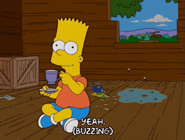 200.gif?cid=fc005b08d001d833b459bb2ccc66ad285f1fb51631372ee3&rid=200.gif&ct=g