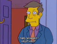 Skinner Meme Gifs Get The Best Gif On Giphy Skinner Meme Gifs Get The Best Gif On Giphy
