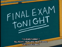 10 study tips with funny and cute GIFs for final exam season - Skooli Online Tutoring