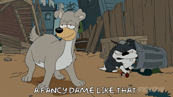 200.gif?cid=fc005b088518821fbaa8da9366a9496b1f4a0b4e078ceaaa&rid=200.gif&ct=g