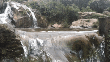 joaomaia  GIF