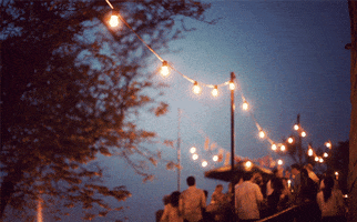 bvrakvs  GIF