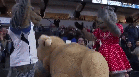 Minnesota Timberwolves Hug GIF by NBA - Find & Share on GIPHY