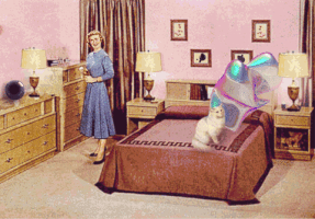 juliageiser cat gif animated kitten GIF