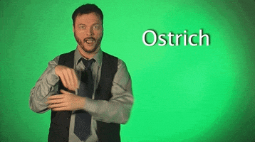 sign language ostrich GIF by Sign with Robert