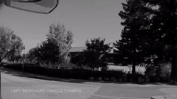 daniellemuoio  GIF