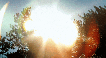 marggieriaza  GIF