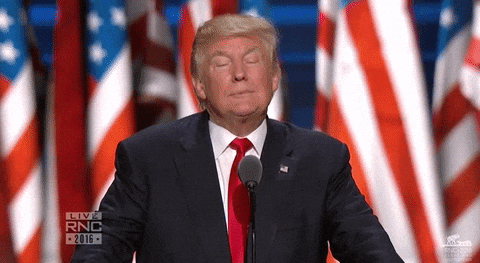 Giphy - Donald Trump Idk GIF by Election 2016