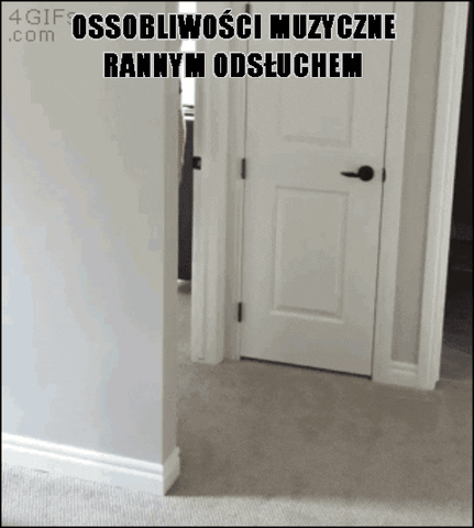 andrzejswietek  GIF