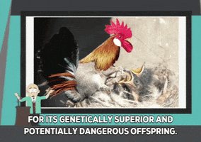 200.gif?cid=fc005b08c8f2bb3bc26c45e039d9bfde0a4a833ed022431c&rid=200.gif&ct=g
