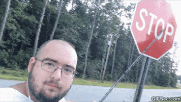shannonrenescott  GIF